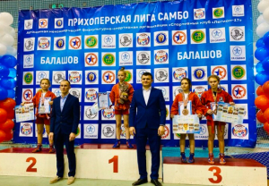 Победы михайловских самбистов