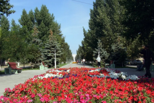 День города Михайловка