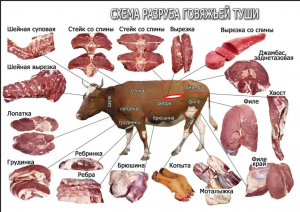 Схема разделки говядины